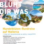 SLR Mandelblüte Flyer SLR Mandelblüte Flyer
