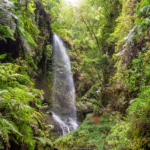 ReisenAktuell La Palma 5 ReisenAktuell La Palma 5