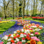 ReisenAktuell Arielle Holland Frühling Keukenhof ReisenAktuell Arielle Holland Frühling Keukenhof