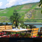 ReisenAktuell Rhein Hotel Lindenhof Terrasse ReisenAktuell Rhein Hotel Lindenhof Terrasse