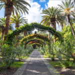 Reisen Aktuell Langzeiturlaub Teneriffa Parque Garcia Sanabria Reisen Aktuell Langzeiturlaub Teneriffa Parque Garcia Sanabria