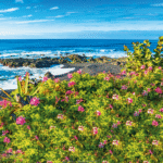 Reisen Aktuell Langzeiturlaub Teneriffa Strand Reisen Aktuell Langzeiturlaub Teneriffa Strand