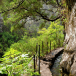 Reisen Aktuell Madeira Wasserkanäle Reisen Aktuell Madeira Wasserkanäle