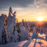 Reisen Aktuell Weihnachten Bayerischer Wald Landschaft Reisen Aktuell Weihnachten Bayerischer Wald Landschaft