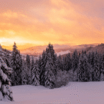 Reisen Aktuell Weihnachten Schwarzwald Winterkulisse Reisen Aktuell Weihnachten Schwarzwald Winterkulisse
