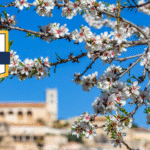 Reisen Aktuell Mallorca Mandelblüte Reisen Aktuell Mallorca Mandelblüte