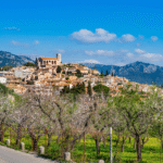 Reisen Aktuell Mallorca Mandelblüte Mandelbäume Reisen Aktuell Mallorca Mandelblüte Mandelbäume