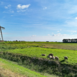 Ameropa De Willemstaad Nordholland Friesland3 Ameropa De Willemstaad Nordholland Friesland3