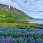 Berge Und Meer Island Isafjördur Berge Und Meer Island Isafjördur