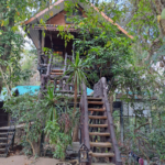 Khao Sok Tree Houses Khao Sok Tree Houses