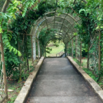 Penang Botanic Garden Penang Botanic Garden