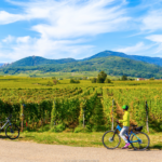 Reisen Aktuell Elsass Genussregion Reisen Aktuell Elsass Genussregion