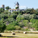 Trendtours Mallorca Mit Dem Ebike Windmühle Trendtours Mallorca Mit Dem Ebike Windmühle