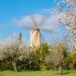 Trendtours Mallorca Mit Dem Ebike Windmühle Bei Santa Maria Del Cami Trendtours Mallorca Mit Dem Ebike Windmühle Bei Santa Maria Del Cami