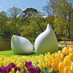 Trendtours Rhein Ins Blütenmeer Keukenhof Trendtours Rhein Ins Blütenmeer Keukenhof