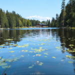 Reisen Aktuell Bischofsmais Wagners Hotel Wastelsäge Arbersee Reisen Aktuell Bischofsmais Wagners Hotel Wastelsäge Arbersee