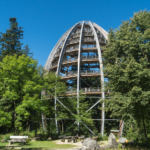 Reisen Aktuell Bischofsmais Wagners Hotel Wastelsäge Baumwipfelpfad Reisen Aktuell Bischofsmais Wagners Hotel Wastelsäge Baumwipfelpfad