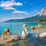 Reisen Aktuell Radrundreise Salzkammergut Attersee Reisen Aktuell Radrundreise Salzkammergut Attersee